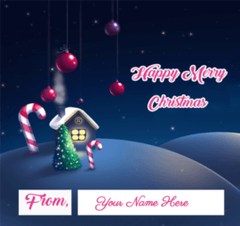 Wishing you a merry Christmas and a Happy New Year