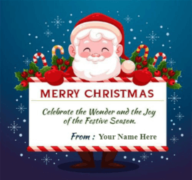 Merry Christmas Santa wishes