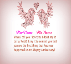 Happy Anniversary Wishes Love Birds