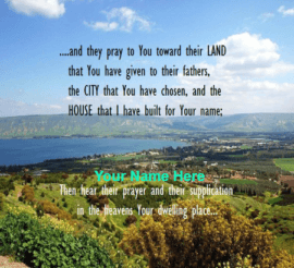 Pray Toward Their Land